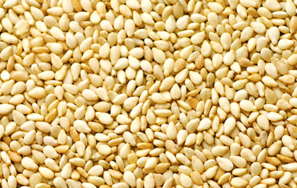Sesame Seeds from 수단 supplied by Agricultural Business Küchler - Unspecified 참깨