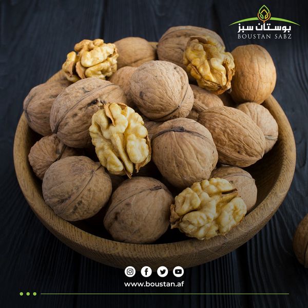 Walnut from Afghanistan supplied by Boustan Sabz Company - In-shell Raw Walnut