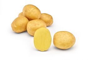 Brown Potato from 독일 supplied by Solana GmbH & Co. KG - 갈색 씨감자