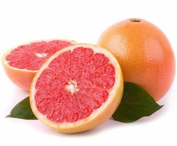 Fresh Grapefruit from 이스라엘 supplied by R.A.N. Fresh Produce Ltd. - Fresh (=Chilled) 신선 자몽
