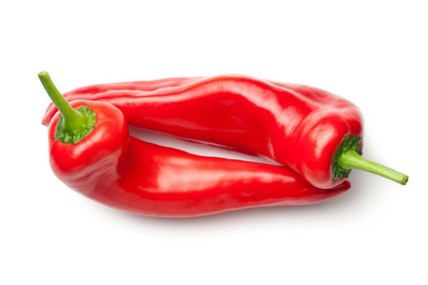Sweet Point Bell Pepper from 네덜란드 supplied by Toff bv - Greenhouse 신선 피망