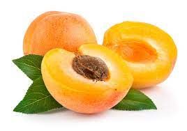 Fresh Apricot from 독일 supplied by Günaydin Trading GmbH - Apricot - Şekerpare 신선 자두