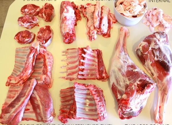 Lamb from 러시아 supplied by LLC Agrofirma Knyazhevo - Cut 양고기
