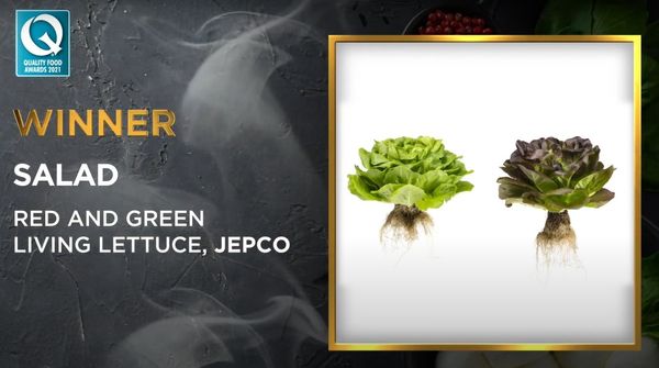 Fresh Lettuce from 영국 supplied by JEPCO (Marketing) Ltd - Multileaf 신선 상추