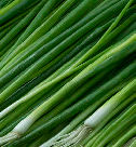 Spring onion from 폴란드 supplied by RUN-CHŁODNIA we Włocławku Sp. z o.o. - Cut 신선 봄양파