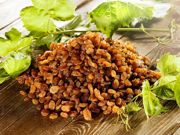 Sultana Raisin from Turkiye supplied by Sen Ihracat - Thompson Seedless (=Sultana=Sultanina=Kishmish=Sultaniye) Raisin (Dried Grape)
