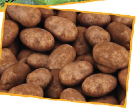 Potatoes from Australia supplied by The Fresh Connection SP Pty Ltd - Purple Fresh Common Potato