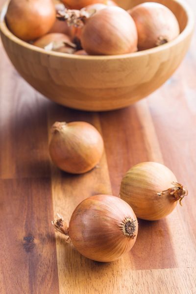 Fresh Onion from 독일 supplied by Esterl and Loibl - Whole 신선 양파