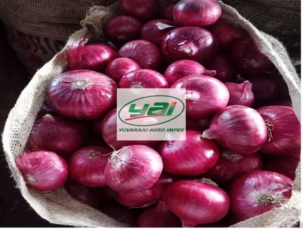 Onion from India supplied by Yuvaraju Agro Impex - Raw Fresh Onion