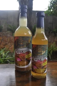 Coconut Nectar Vinegar from Philippines supplied by Sorsogon Foods Enterprises - Bottle Value Added Coconut