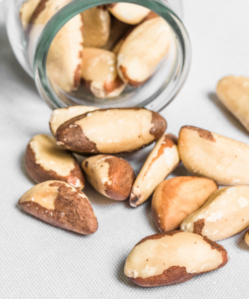 Raw Brazil Nut from Brazil supplied by THE ROASTING COMPANY LTD - Shelled (=Kernel) Brazil Nut Kernel