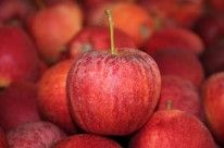 Fresh Apple from 독일 supplied by Obstgroßmarkt Eriskirch - Josef Spanagel GmbH - Belle de Boskoop 신선 사과