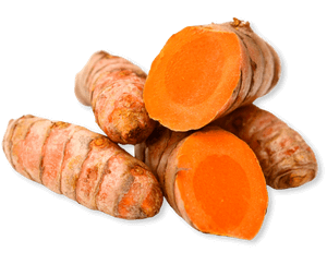 Turmeric from 페루 supplied by La Campiña Peru S.A.C. - Whole (=Root) 튜메릭