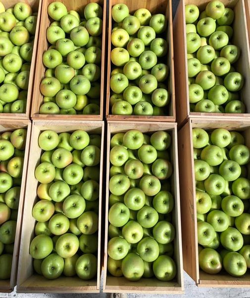 Fresh Whole Green Apple from Japan supplied by Aomori Trading Co., Ltd. - Green Fresh Apple