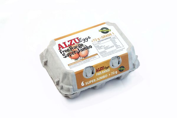 Chicken Egg from South Africa supplied by Alzu Eggs - Table Egg Chicken Egg