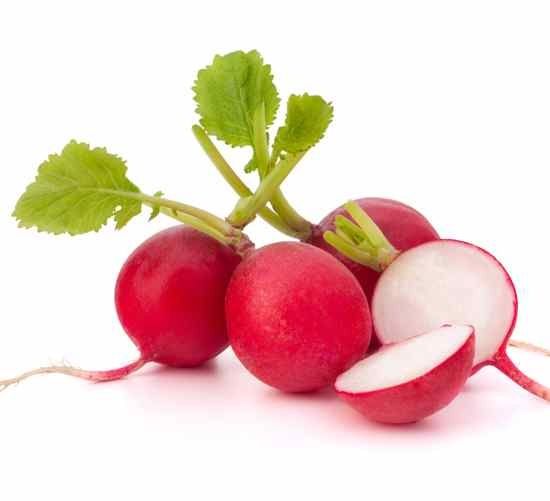 Fresh Organic Radish from Germany supplied by Organic Gardening Watzkendorf GmbH - Whole Radish