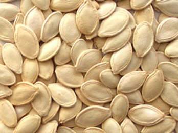Pumpkin Seed from Bulgaria supplied by Agroimpex - Whole Pumpkin Seed