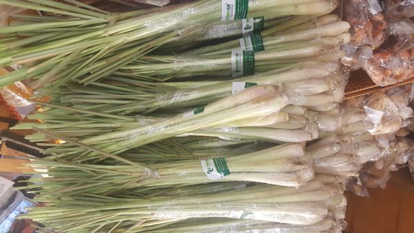 Lemongrass from 베트남 supplied by AgribussinessViet - Non-organic 레몬그라스