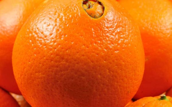 Orange Navel du Maroc from Morocco supplied by greenain sarl - Navel - Parent Washington Fresh Orange