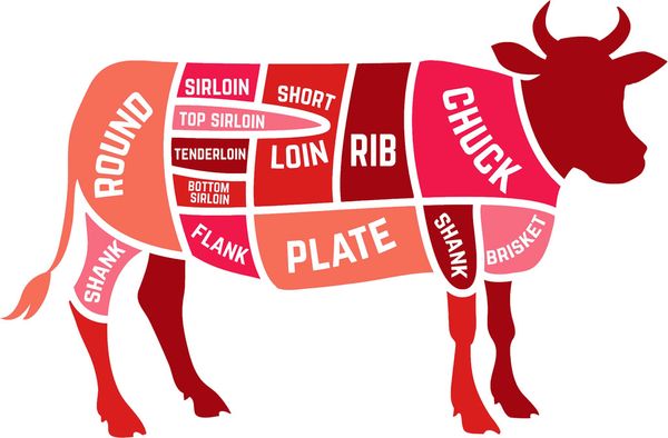 Grass-Fed Beef from 코스타리카 supplied by Matadero del Valle S.A. - Fresh (=Chilled=Raw) 기타 냉동 소고기 부위