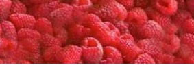 Raspberries from 독일 supplied by Früchte Schmidtlein GmbH - Red 신선 라즈베리