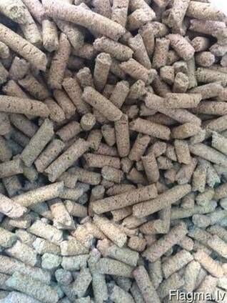 Pumpkin Seed for feed from 오스트리아 supplied by Humer Special Agro Products - Ground 호박 씨