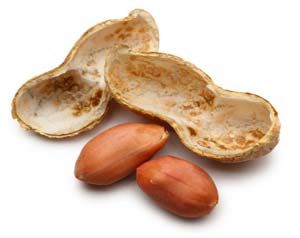 Ground Nut from 인도 supplied by Pallavan Exports - Size: 80-90 땅콩 알맹이