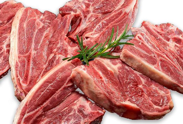 Fresh Organic Lamb Meat from 독일 supplied by Bioland-Hof Behring - Cut 양고기