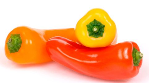 Fresh Bell Pepper from 스페인 supplied by KEOPS AGRO - Yellow 신선 피망