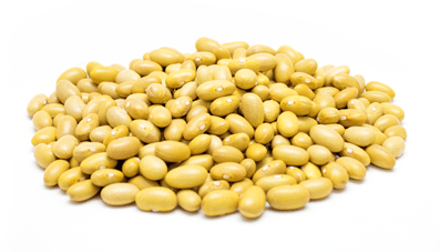 Beans from Mexico supplied by PURP S.A. de C.V. - Dried (=Dehydrated) Dried Common Bean