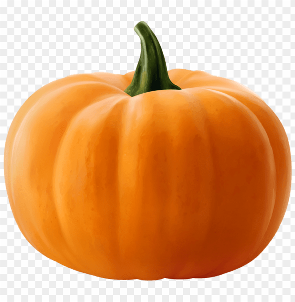 Pumpkin from Israel supplied by Sapta Yehudit - Whole Fresh Common Pumpkin