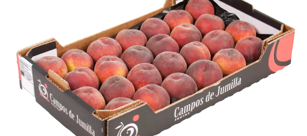 Fresh Whole Red Peach from Spain supplied by CAMPOS DE JUMILLA - Red Skin Color Fresh Peach
