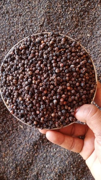 Black Pepper from India supplied by Tesha Group - Garbled Whole Black Peppercorn