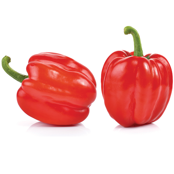 Red Bell Pepper from United States supplied by Agritrade Farms LLC - Red Fresh Bell Pepper
