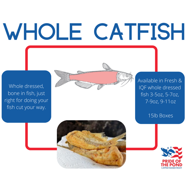 Catfish from 미국 supplied by Pride of the Pond - 껍질 없음 냉동 메기 필레