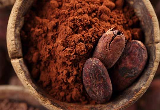 Cocoa Powder from 말레이시아 supplied by TROPICAL PRODUCE SDN BHD - Dried 코코아 파우더