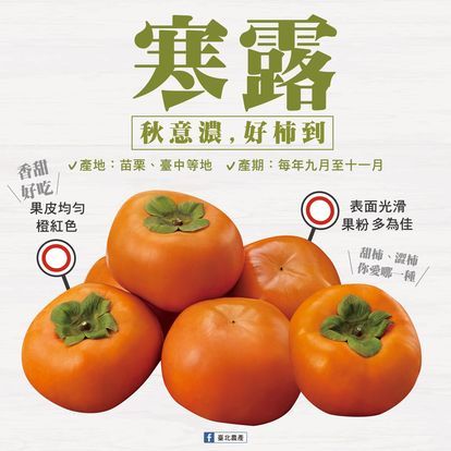 Orange from 대만 supplied by Taipei Agricultural Products Marketing Corporation - 주황색 신선 오렌지
