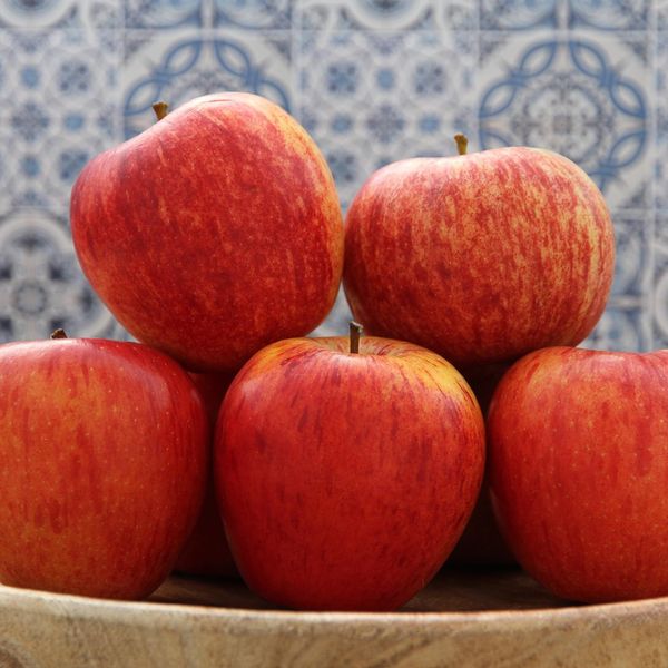 Apple from 독일 supplied by Elbe-Obst Vertriebsgesellschaft mbH - Cox Orange 신선 사과