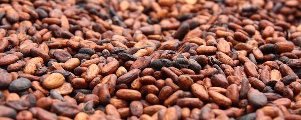 Cocoa beans from 나이지리아 supplied by Isadol Global Services - Agricultural Waste