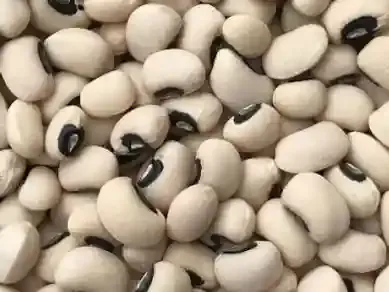Black Eyed Beans from Nigeria supplied by Chairman Export Company - Black Eyed Pea Dried Cowpea