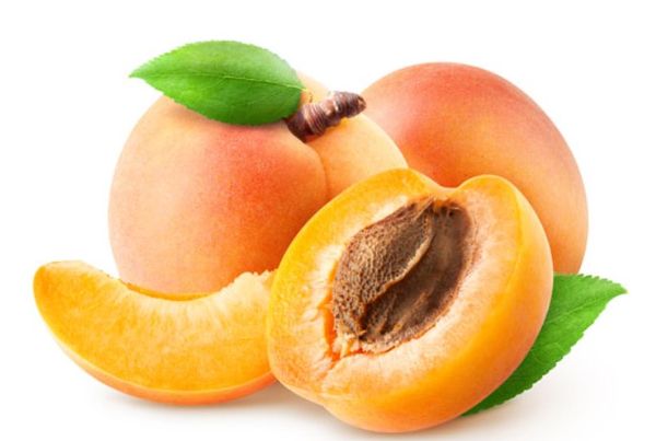Fresh Apricot from 이탈리아 supplied by OP Agritalia - Organic 신선 자두