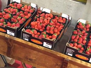 Strawberries from Belgium supplied by Guido fruit - Carton Box (=Cardboard Box) Fresh Strawberry