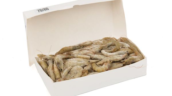 Prawn from 스페인 supplied by PESCAFACIL S.L. - Shell On (=Unpeeled) 냉동 새우