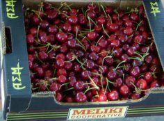 Fresh Whole Cherry from Greece supplied by AGRICULTURAL COOP. OF MELIKI IMATHIA - Sweet Cherry - Ferrovia Fresh Sweet Cherry