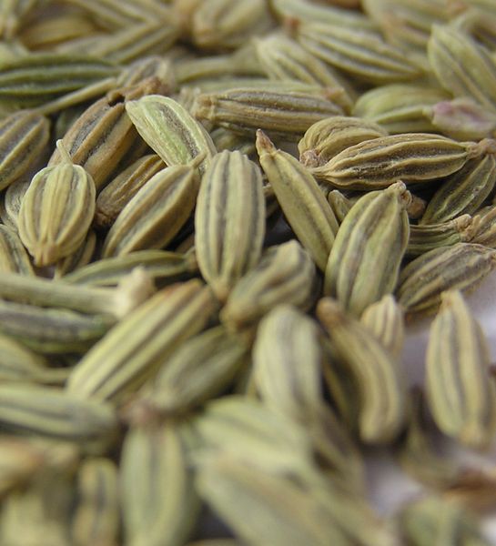 Cumin Seed from 아프가니스탄 supplied by Habib Omid Trading Co LTD - Whole 커민 씨