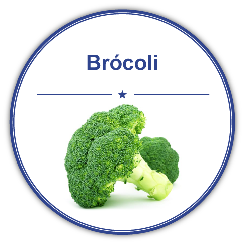 Broccoli from 스페인 supplied by Agricultores del Sureste (ADESUR) - Whole 신선 브로콜리 꽃