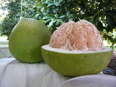 Fresh Pomelo from 말레이시아 supplied by TRL South East Asia Sdn Bhd - Honey Pomelo 신선 포멜로