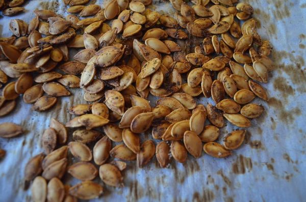 pumpkin seed from 헝가리 supplied by Bestagro Kft. - Conventional 호박 씨