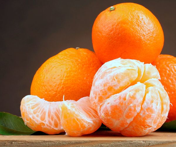 Fresh Mandarin from 스페인 supplied by Juan Rubert SL - Clemenpons 신선 만다린