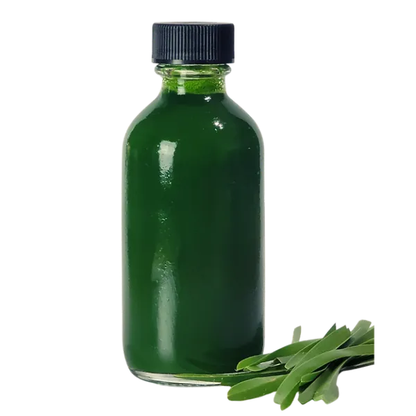 Wheatgrass Juice from United States supplied by Juiceaholics - Wheatgrass Wheat